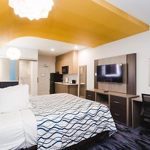 Deluxe King Studio